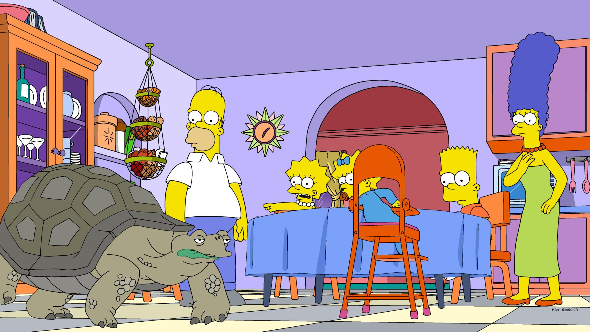 The Simpsons Season 34 Episode 1 – Habeas Tortoise Full Watch And Download Now